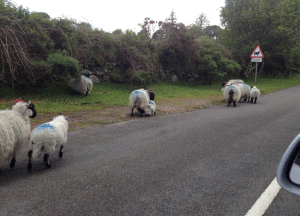 cornwall6