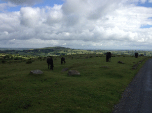 cornwall9